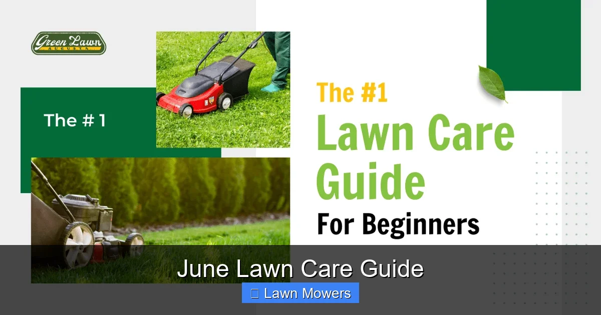 June Lawn Care Guide