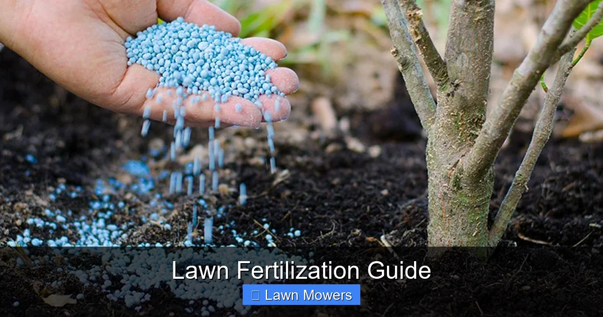 Lawn Fertilization Guide