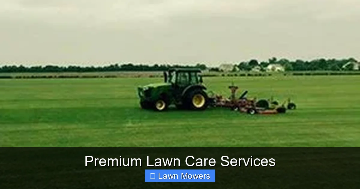 Premium Lawn Care Services