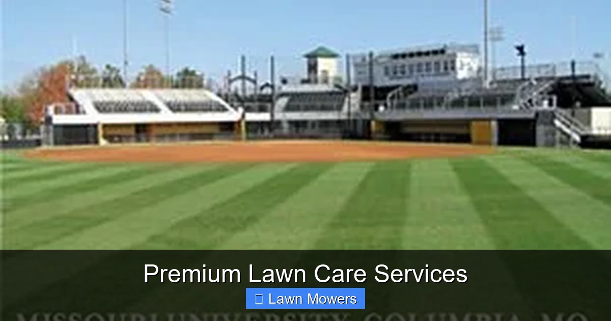 Premium Lawn Care Services