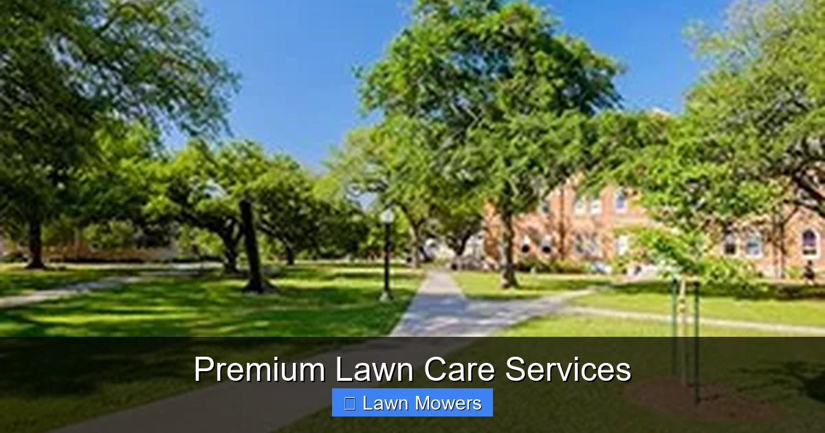 Premium Lawn Care Services
