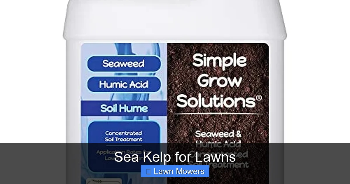 Sea Kelp for Lawns