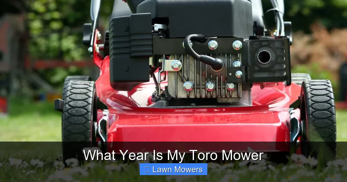 What Year Is My Toro Mower