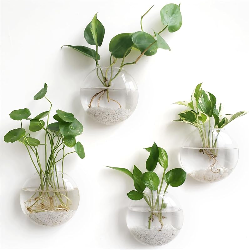 Mkono Wall Hanging Propagation Station Glass Planter for Hydroponics,