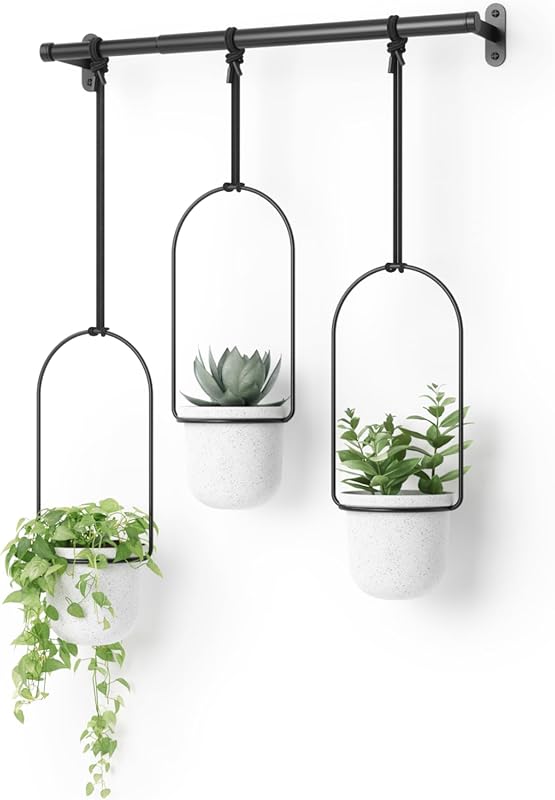 Umbra Triflora Hanging Planter Set of 3 for Window and Indoor Herb Gar