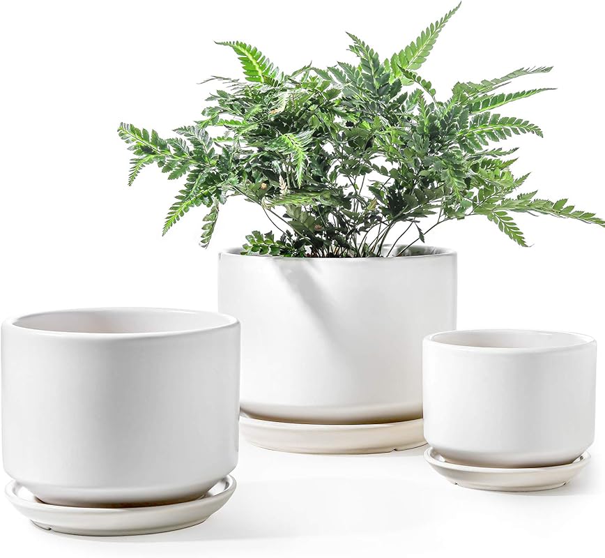 LE TAUCI Ceramic Plant Pots - 4.3/5.3/6.8 Inch with Drainage Hole Sauc