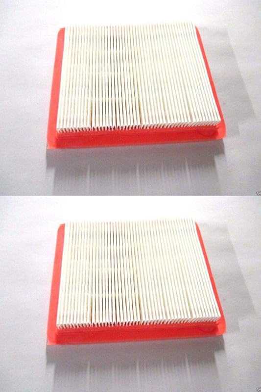 2 Pack Genuine Honda 17211-Z8B-901 Air Filter - Fits GCV160LAO GCV190L