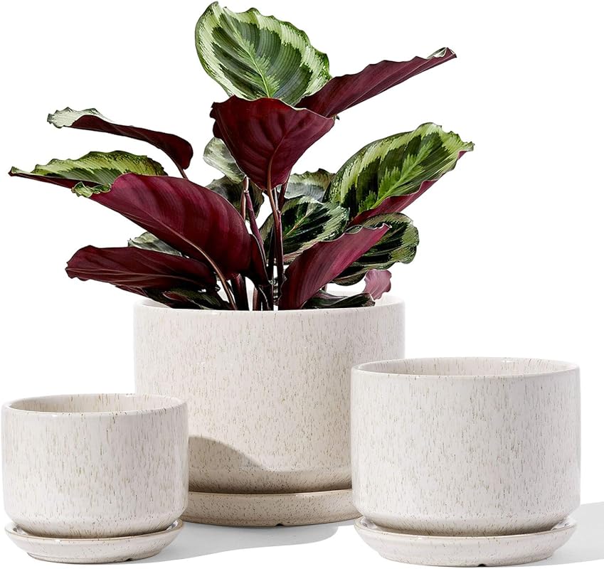 LE TAUCI Ceramic Plant Pots - 4.3/5.3/6.8 Inch with Drainage Hole Sauc