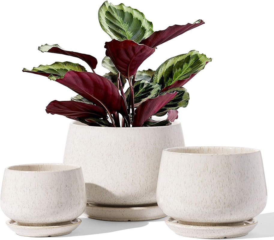 LE TAUCI Ceramic Plant Pots - 4.1/5.1/6.5 Inch with Drainage Hole Sauc