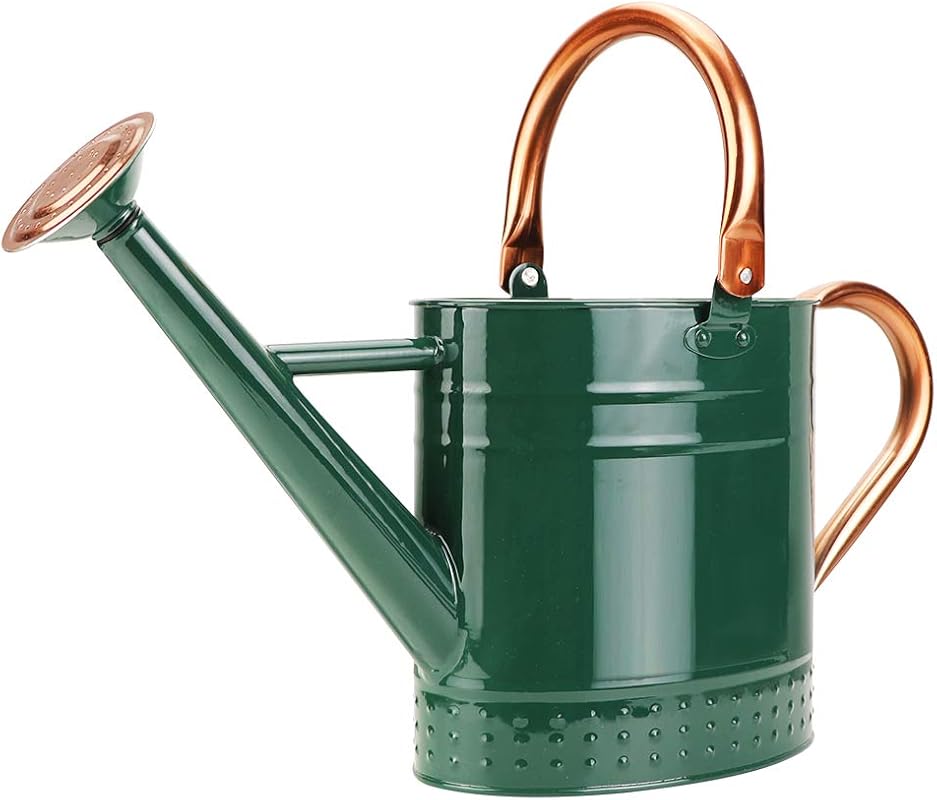 1-Gallon Metal Watering Can with Removable Spout, Galvanized Steel Emb