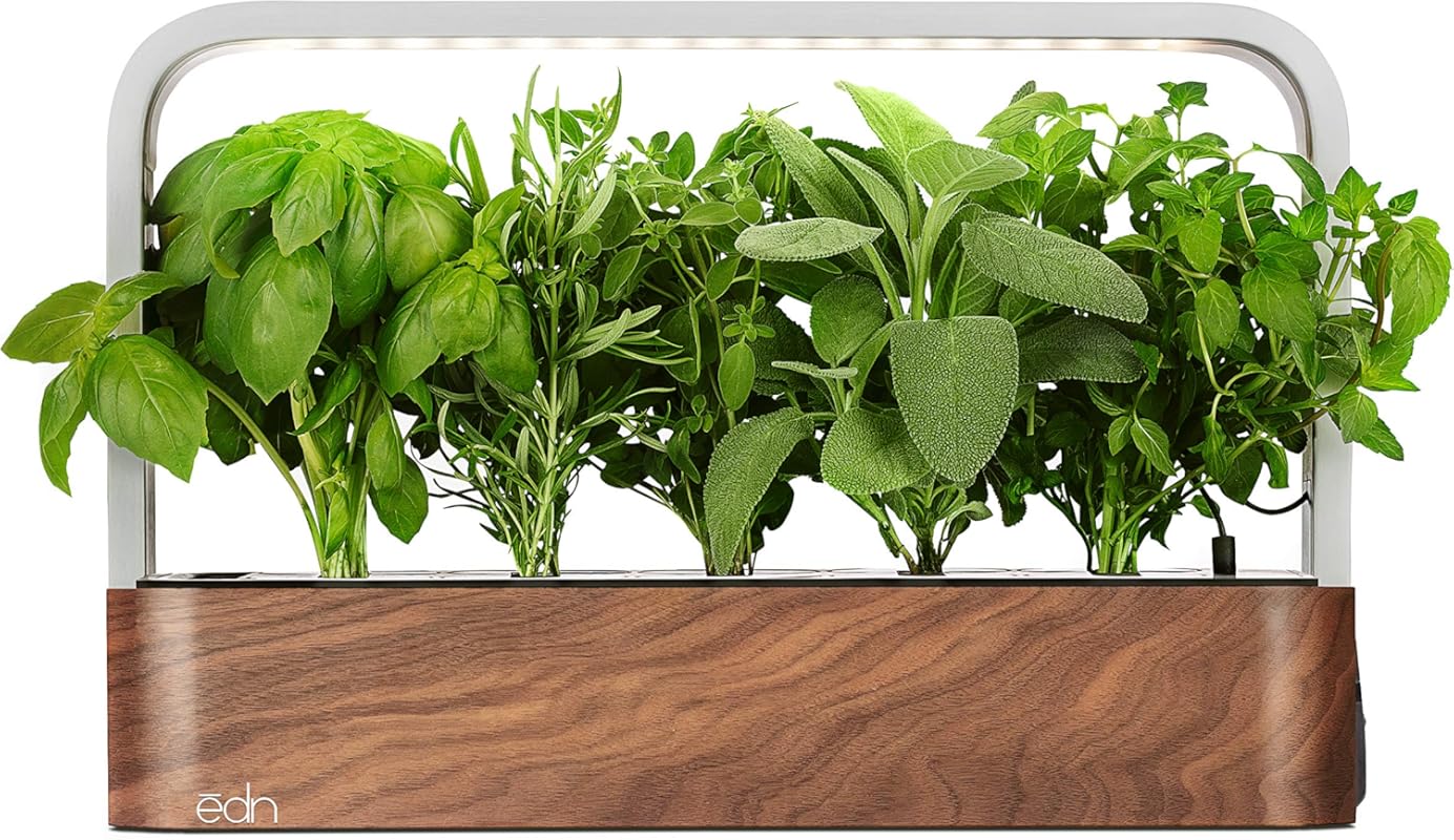 EDN SmallGarden iOS Smart Garden with Basil SeedPods, Grow Up to 10 Pl