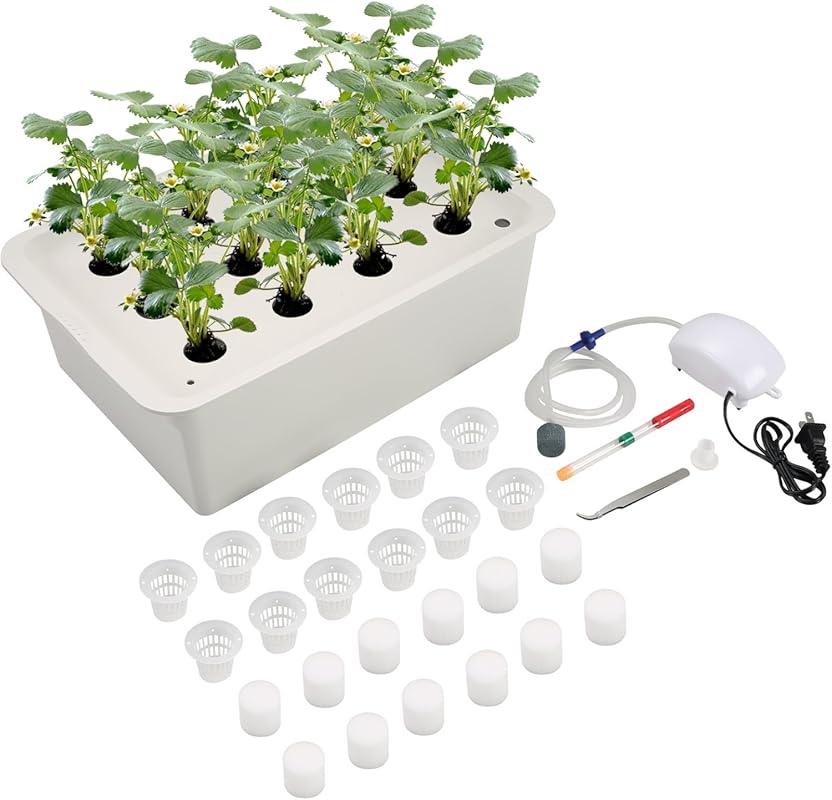 NATGAI Hydroponic System Kit with Air Pump - 12-Hole Soilless Cultivat