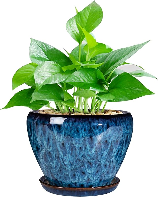 Ceramic Modern Glaze Succulent Planter - 6-Inch Round with Drainage Ho