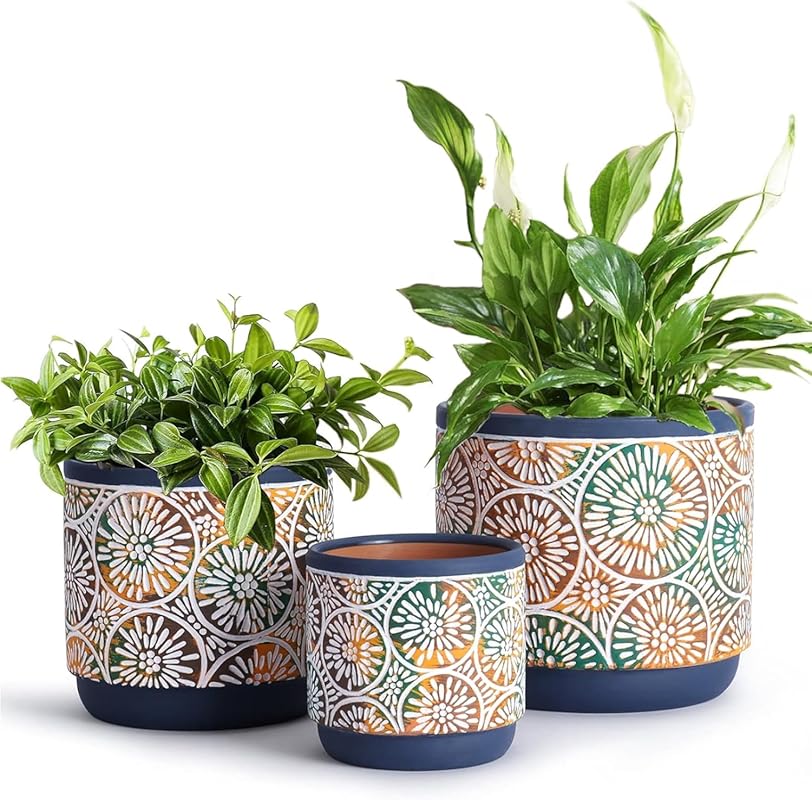 DeeCoo Ceramic Plant Pots - 5.7/4.7/3.5 Inch with Drainage Holes, Indo