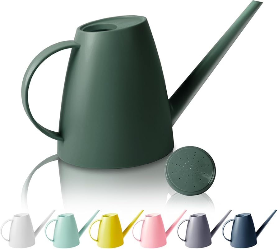 Small Watering Can for Indoor Outdoor Plants with Removable Nozzle and