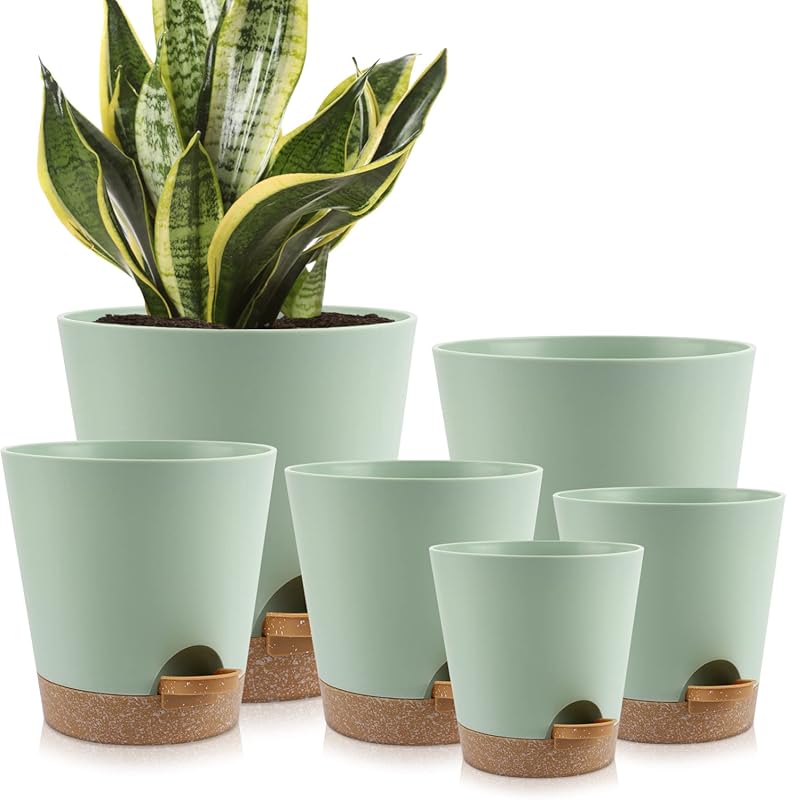 6-Pack Indoor Self-Watering Planters with Drainage Holes and Saucers -