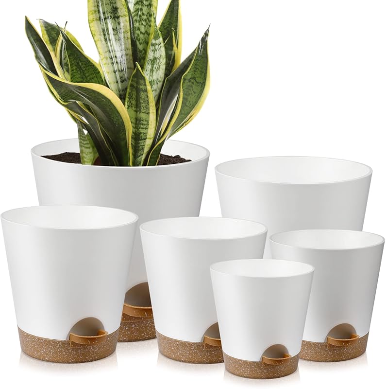 6-Pack Indoor Self-Watering Planters with Drainage Holes and Saucers -