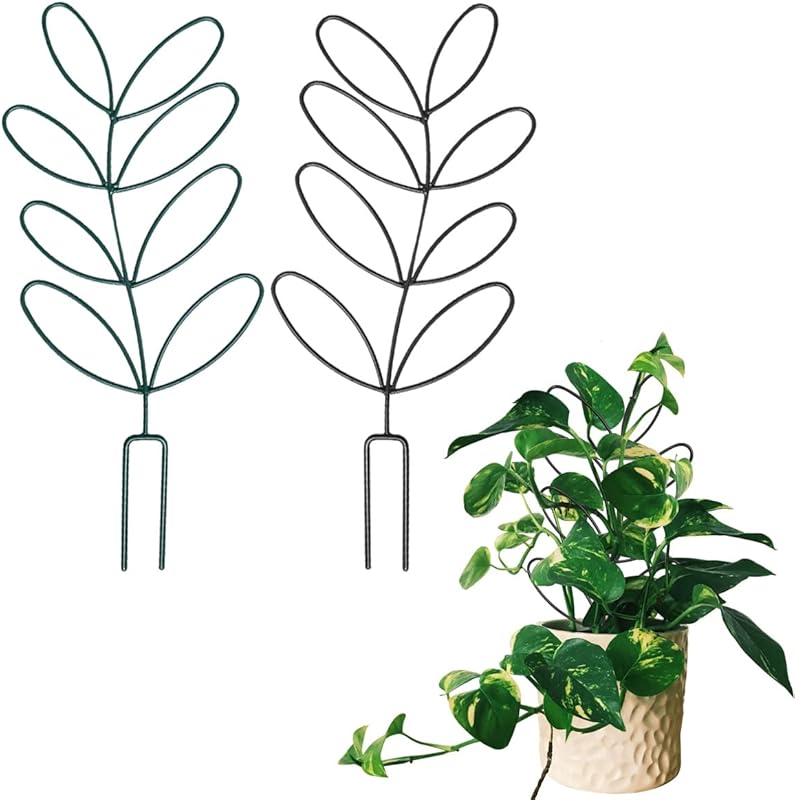 2 Pack Small Leaf Shape Metal Wire Trellis for Climbing Plants - Indoo