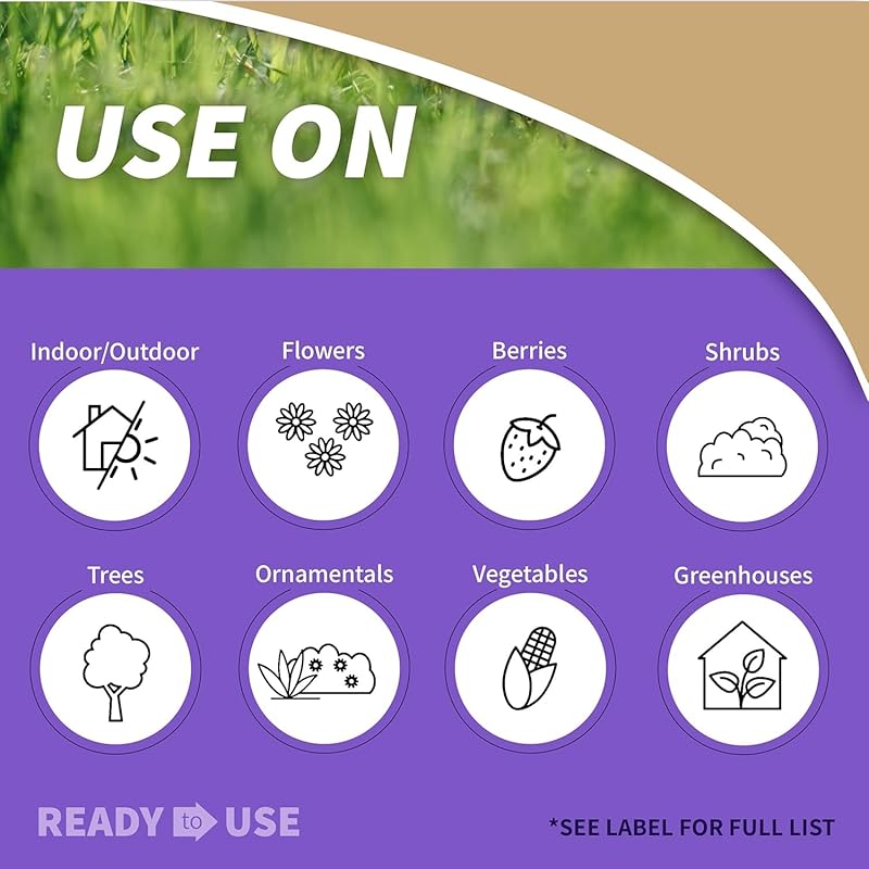Bonide Ready-to-Use Insecticidal Soap Spray for Organic Gardening, Kil