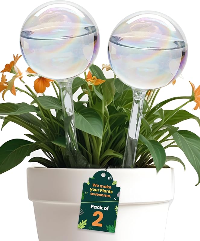 Iridescent Self Watering Globes: Glass Rainbow Plant Watering Globes f