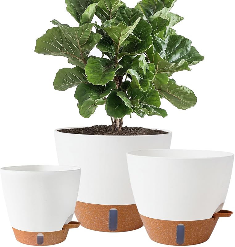 8/10/12 Inch Self-Watering Planters with Water Level Indicator, Reserv