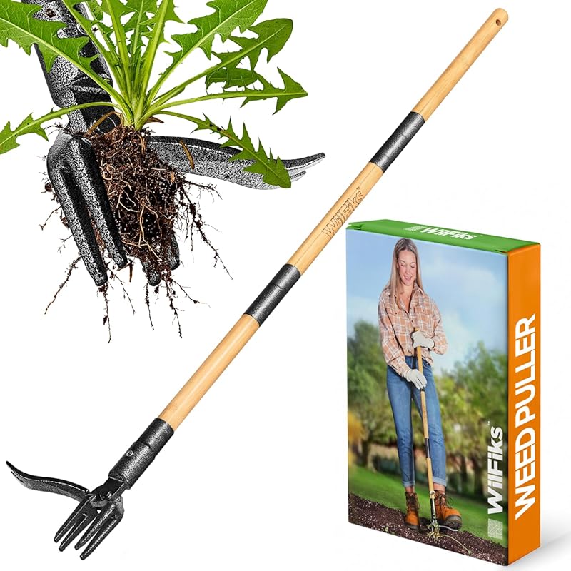 Heavy-Duty Stand Up Weed Puller: 4-Claw Steel Head with Foot Platform & Long Bamboo Handle for Knee-Free Gardening
