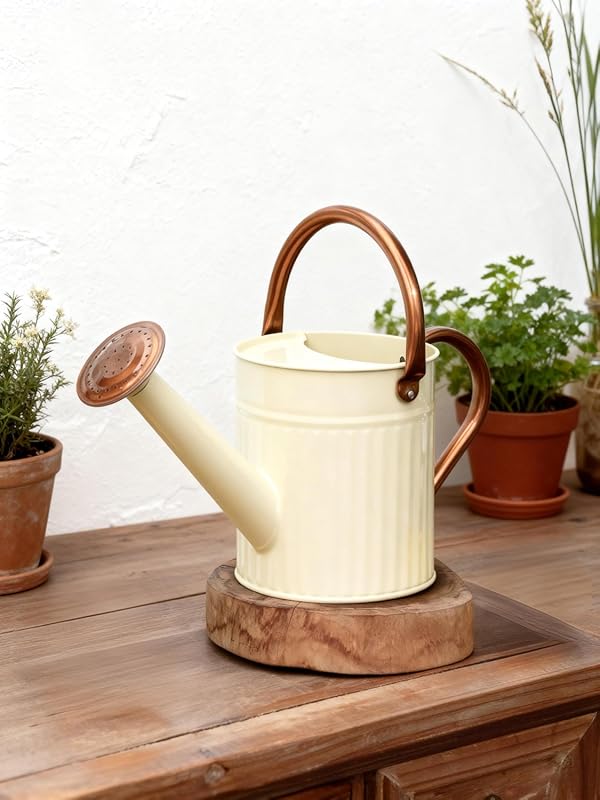 Bamworld Stainless Steel Watering Can for Indoor Outdoor Plants with R