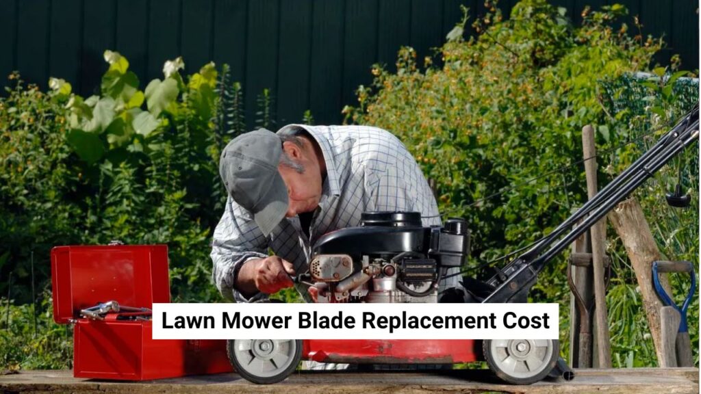 Lawn Mower Blade Replacement Cost Lawn Mower Blade Replacement Cost