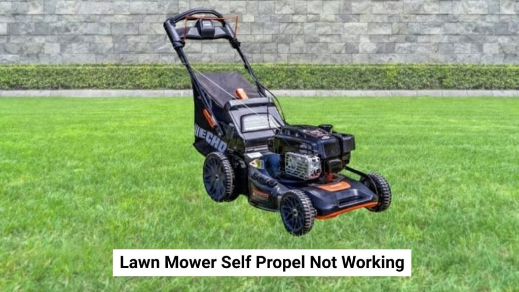 Lawn Mower Self Propel Not Working