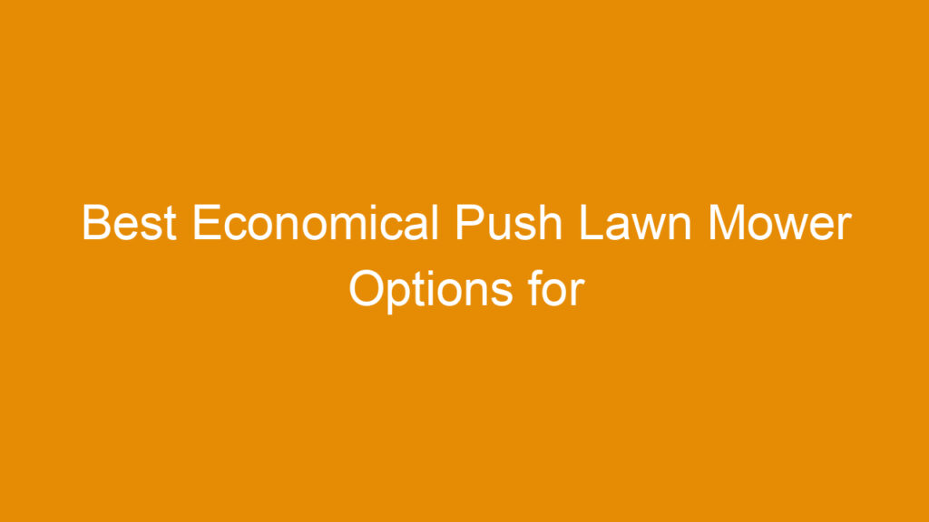 Best Economical Push Lawn Mower Options for Efficient Yard Care 2025