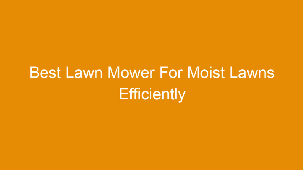 Best Lawn Mower For Moist Lawns Efficiently Handling Wet Grass Conditions