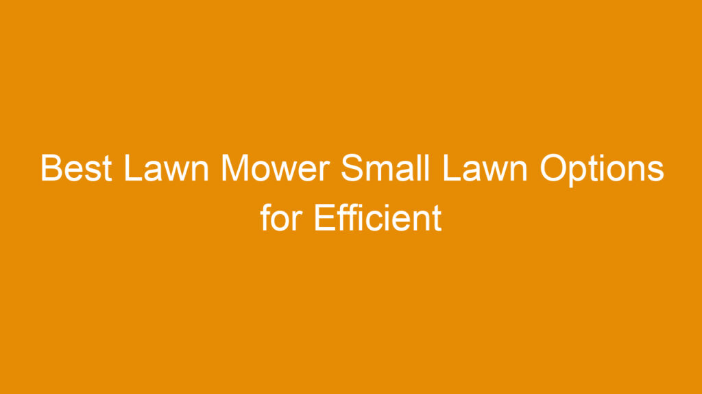 Best Lawn Mower Small Lawn Options for Efficient Yard Care