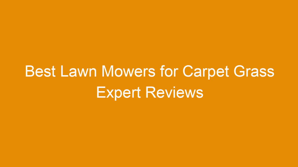 Best Lawn Mowers for Carpet Grass Expert Reviews and Buying Guide 2026