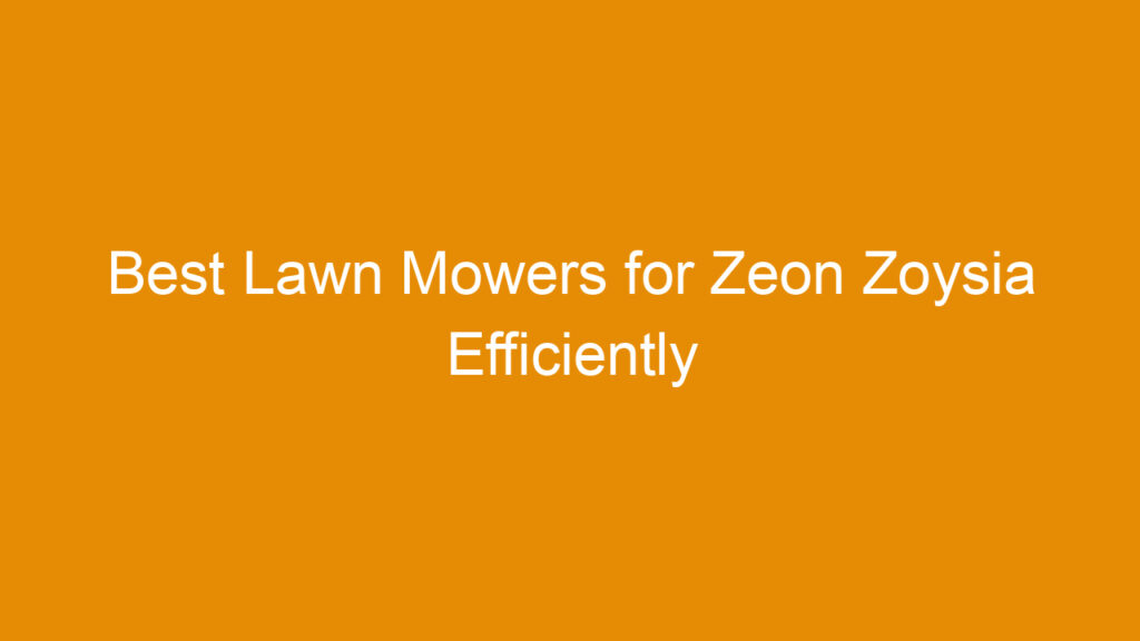 Best Lawn Mowers for Zeon Zoysia Efficiently Maintaining Your Lawn