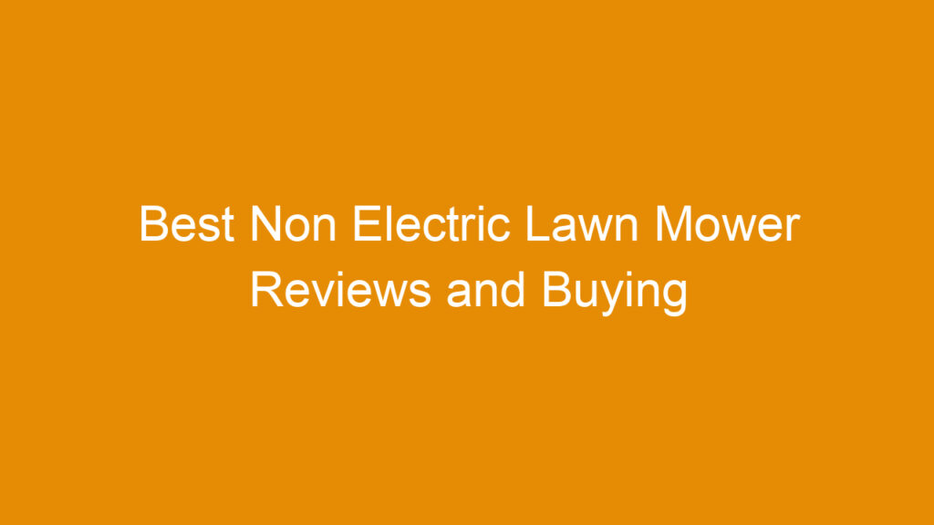Best Non Electric Lawn Mower Reviews and Buying Guide 2026