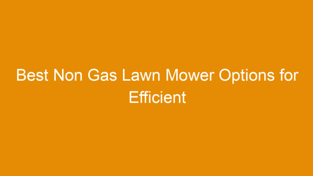 Best Non Gas Lawn Mower Options for Efficient Yard Care