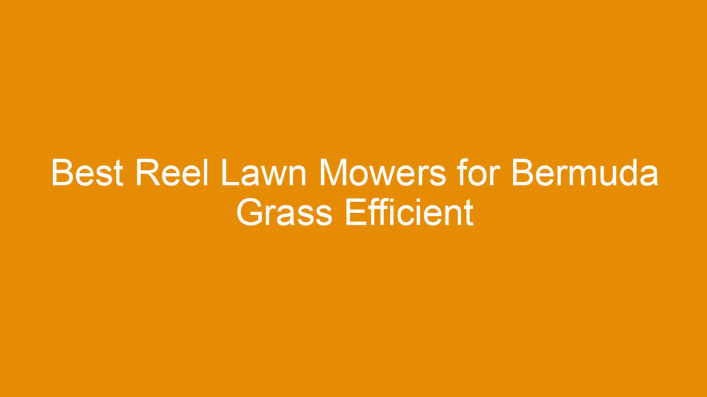 Best Reel Lawn Mowers for Bermuda Grass Efficient Cutting and Durability Guide