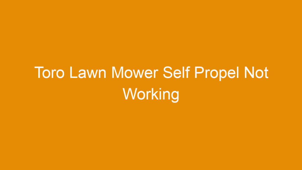 Toro Lawn Mower Self Propel Not Working