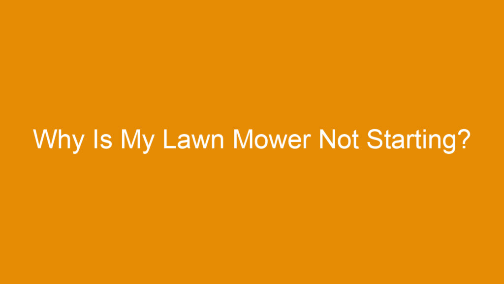 Why Is My Lawn Mower Not Starting?
