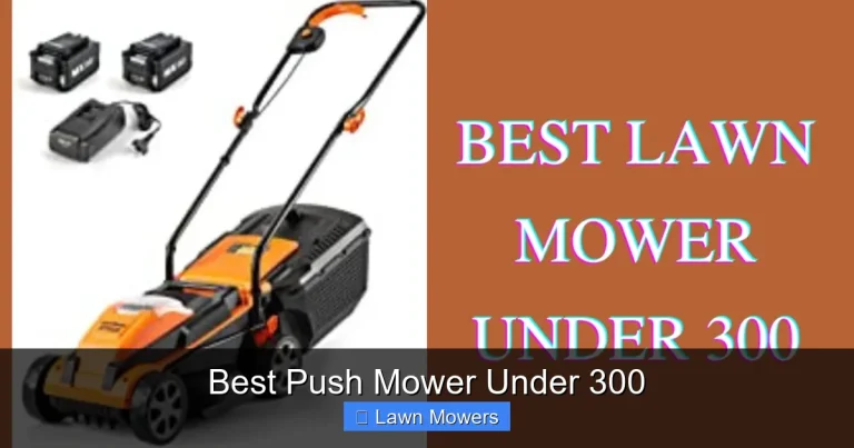 Best Push Mower Under 300 Best Push Mower Under 300
