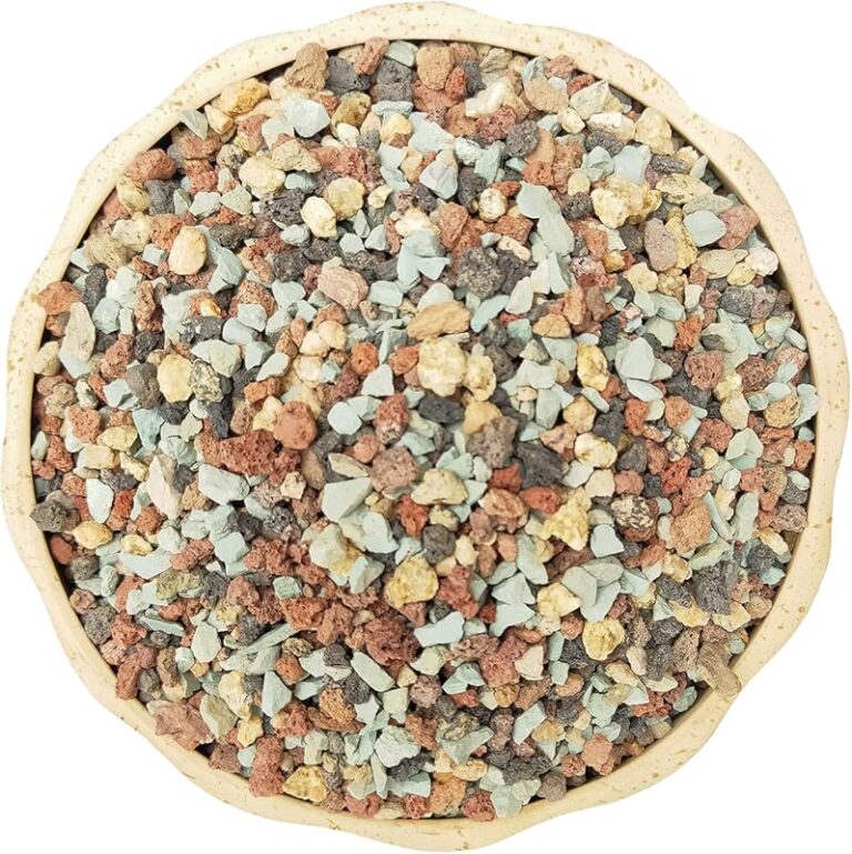 Top 10 Cactus Soil Mix for 2026 – Expert Reviewed - Toplawnmower