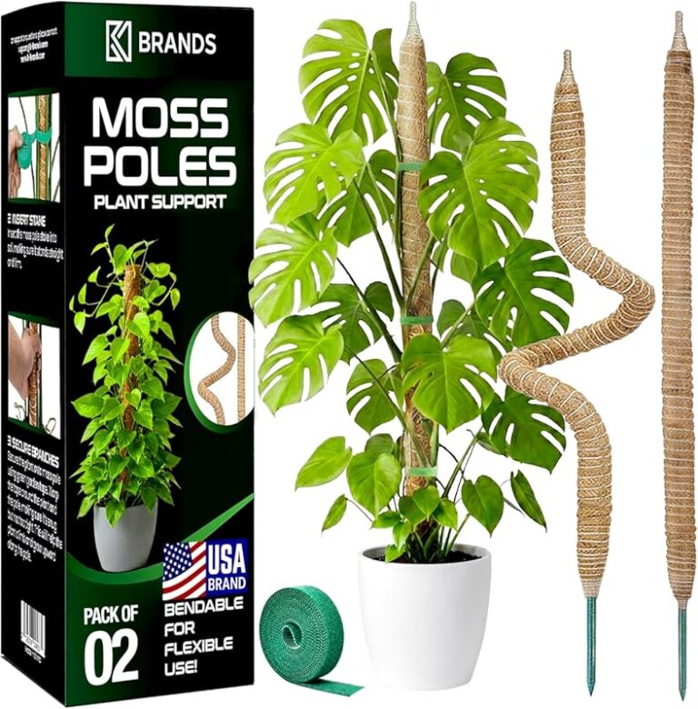 Top 10 Plant Trellis for 2026: Expert Tested & Reviewed