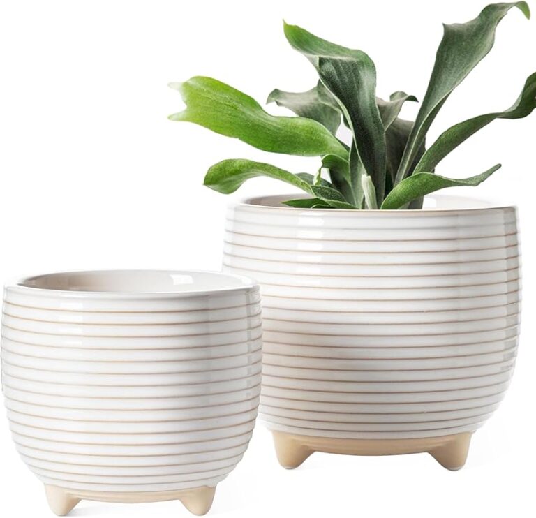 Top 10 Ceramic Planters for 2026 – Expert Reviewed