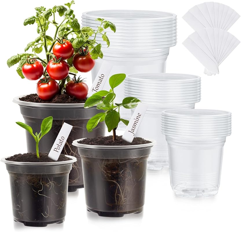 30-Pack High Transparency Clear Nursery Pots: 3.5-5 Inch Plastic Seedl