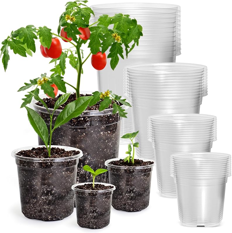 36 Reinforced Clear Nursery Pots in 3.5-7 Inch Sizes with Drainage Hol