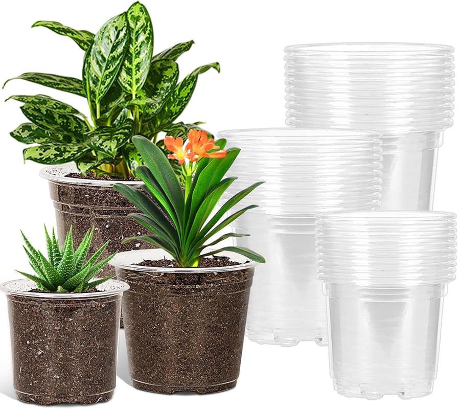 JERIA 30-Pack 5-7 Inch Durable Clear Nursery Pots with Drainage Holes