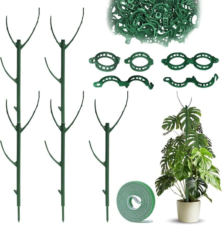 Top 10 Climbing Plant Support for 2026 – Expert Tested