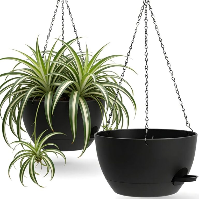 10 Best Hanging Planters for 2026: Expert Approved