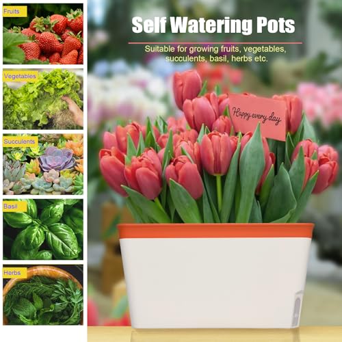 Best Self Watering Planters For Herbs: Top Picks Best Self Watering Planters For Herbs