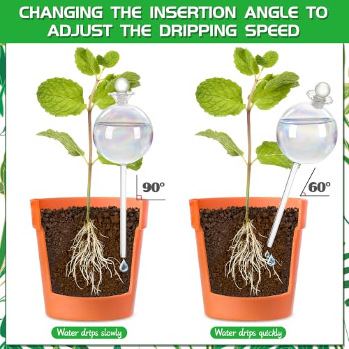 Best Plant Watering Globes: Top Picks For Healthy Plants Best Plant Watering Globes